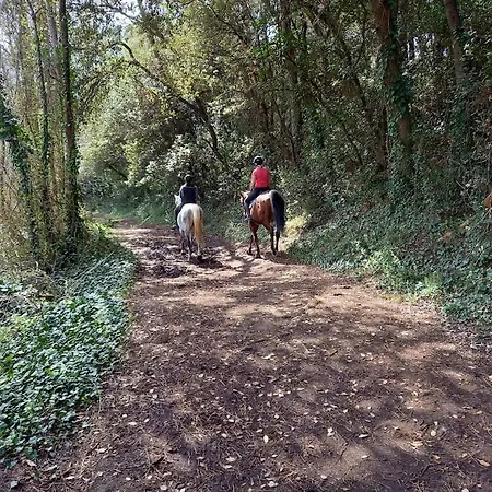 Petite Maison De Pêcheur Et Velos *