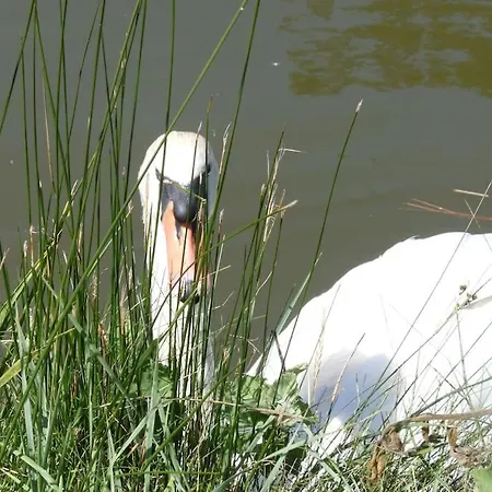 Hébergement de vacances Petite Maison De Pêcheur Et Velos