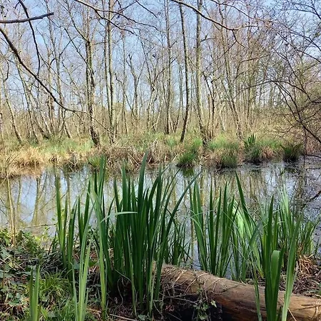 Petite Maison De Pêcheur Et Velos * Les Sables-dʼOlonne