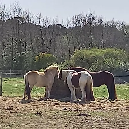 Petite Maison De Pêcheur Et Velos * Les Sables-dʼOlonne