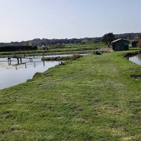 Petite Maison De Pêcheur Et Velos
