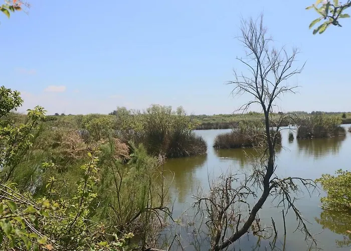Petite Maison De Pêcheur Et Velos * Les Sables-dʼOlonne