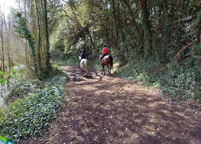 Petite Maison De Pêcheur Et Velos *