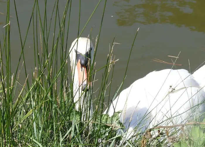 Hébergement de vacances Petite Maison De Pêcheur Et Velos