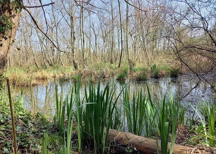Petite Maison De Pêcheur Et Velos * Les Sables-dʼOlonne