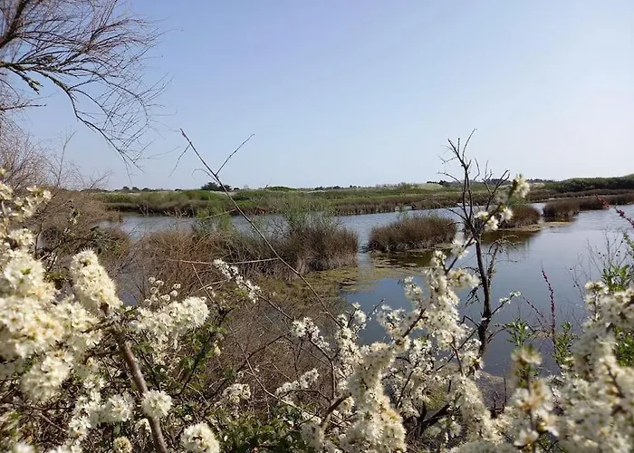 Hébergement de vacances Petite Maison De Pêcheur Et Velos