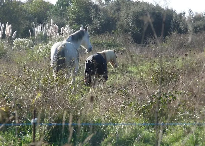 Hébergement de vacances Petite Maison De Pêcheur Et Velos Les Sables-dʼOlonne