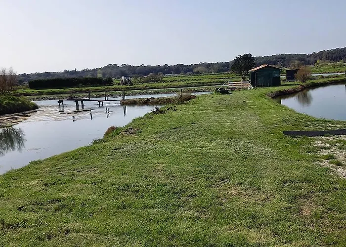 Petite Maison De Pêcheur Et Velos