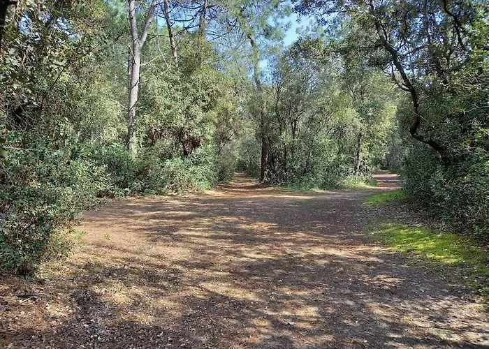 Petite Maison De Pêcheur Et Velos