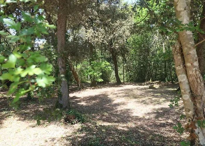 Petite Maison De Pêcheur Et Velos Hébergement de vacances Les Sables-dʼOlonne