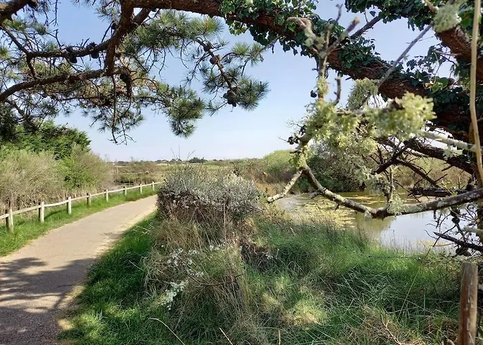 Petite Maison De Pêcheur Et Velos * Les Sables-dʼOlonne