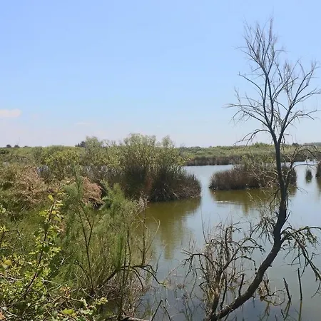 Petite Maison De Pecheur Et Velos * Les Sables-dʼOlonne