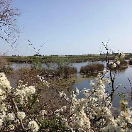 Tatil Evi Petite Maison De Pecheur Et Velos