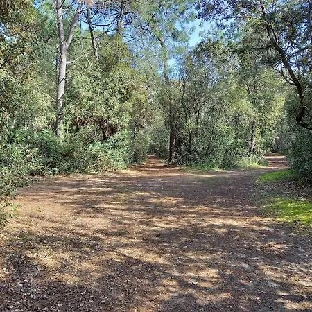 Petite Maison De Pecheur Et Velos