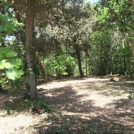 Petite Maison De Pecheur Et Velos Tatil Evi Les Sables-dʼOlonne