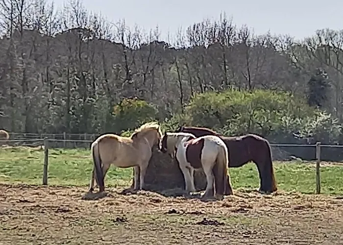 Petite Maison De Pecheur Et Velos * Les Sables-dʼOlonne
